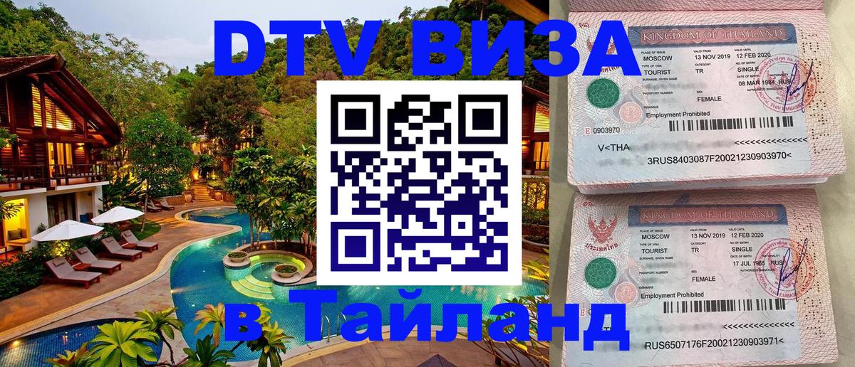 Оформление DTV визы под ключ: стоимость и тарифы, только загранпаспорт - 08.01.2026 